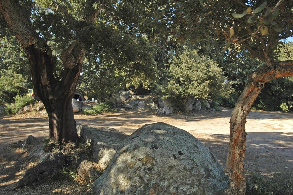 Camping Pezza Cardo Campsite 3*