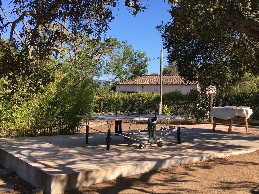 Campsite Camping Pezza Cardo